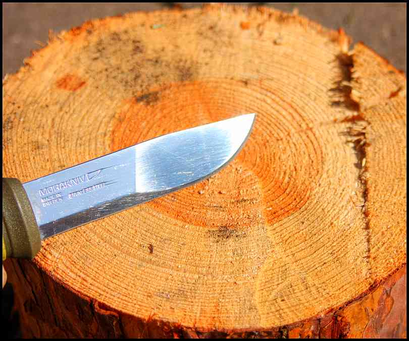 MORA 2000 - foto Jan Pokorný